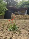II. kerület (Budaliget II/A.) - Hidegkúti út:  76 m²-es családi ház