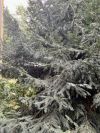 XIV. Kerület (Alsórákos) - Must utca:  53 m²-es társasházi lakás