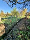 III. Kerület (Aranyhegy) - Aranyvölgy utca:  950 m²-es telek